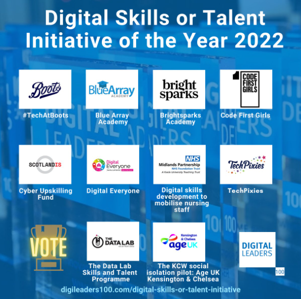 Digital Skills or Talent Initiative Award